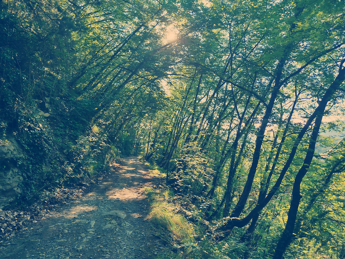 Sentiero: ANELLO TORRE DI UBAGA