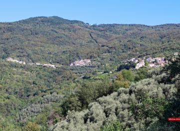Gavenola Panorama